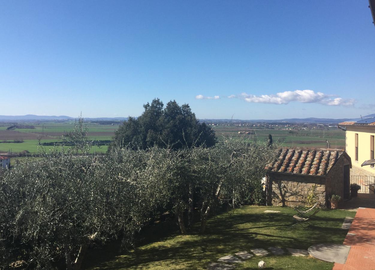 Agriturismo Borgo Tra Gli Olivi 카스티글리온플로렌티노 외부 사진