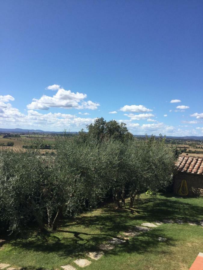 Agriturismo Borgo Tra Gli Olivi 카스티글리온플로렌티노 외부 사진